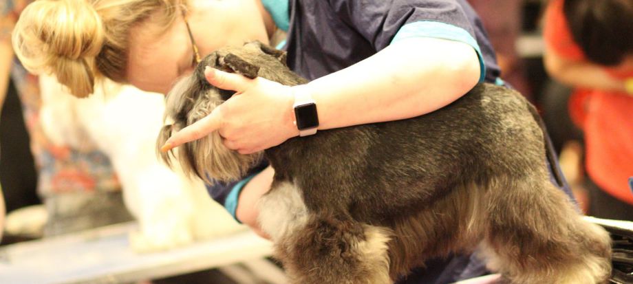 grooming service at home